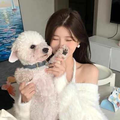 双面特工
